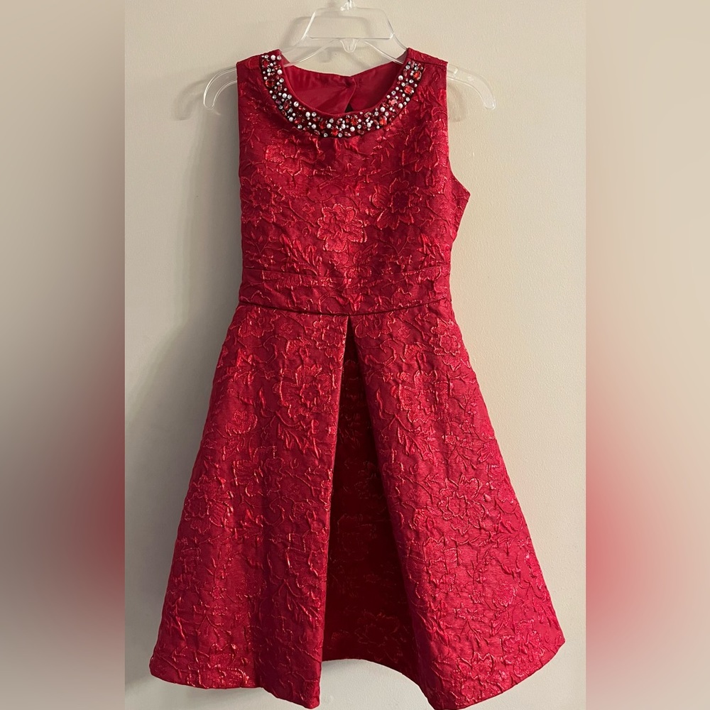 NWOT fancy holiday girl dress